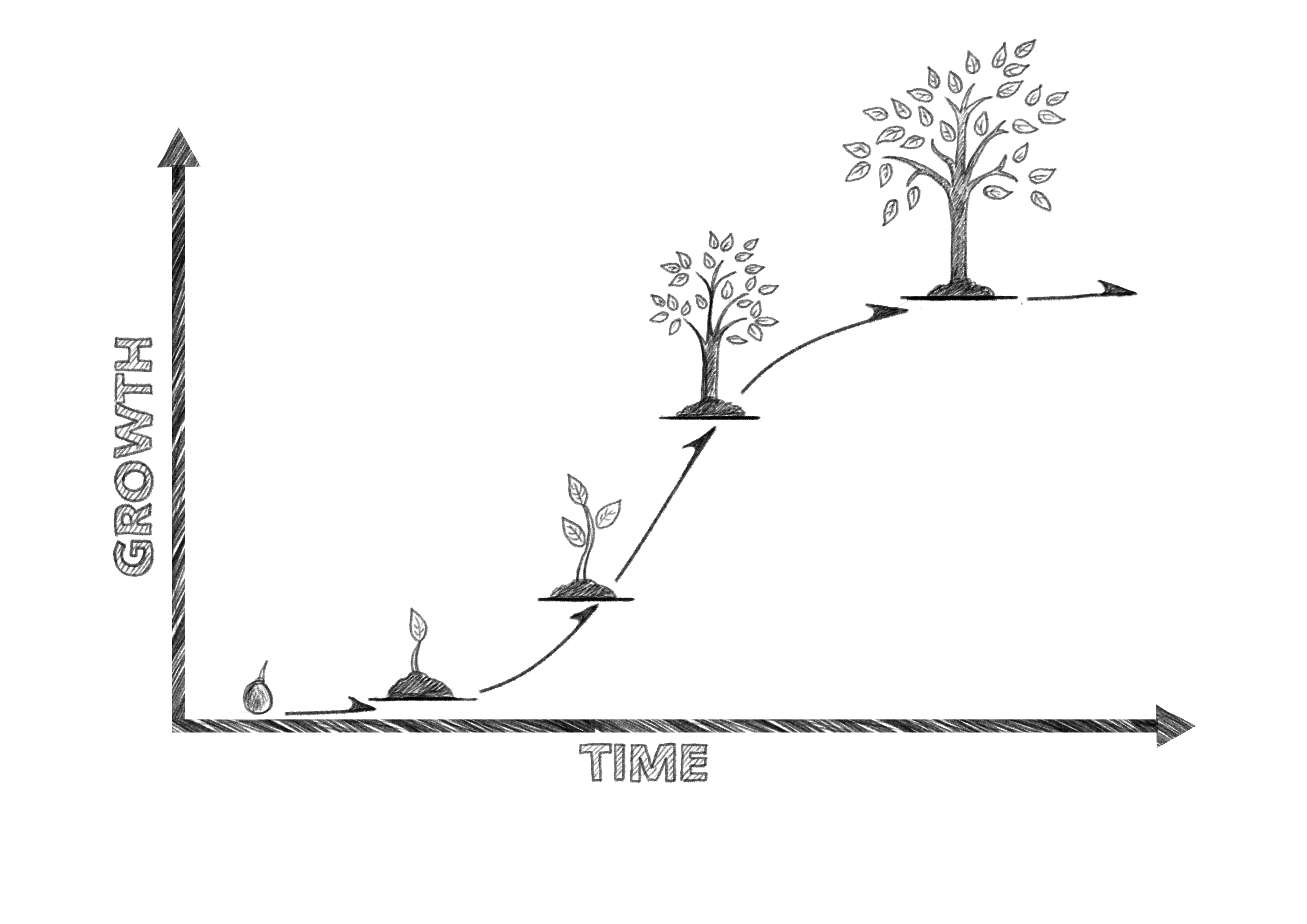The Power of Compound Interest for Kids